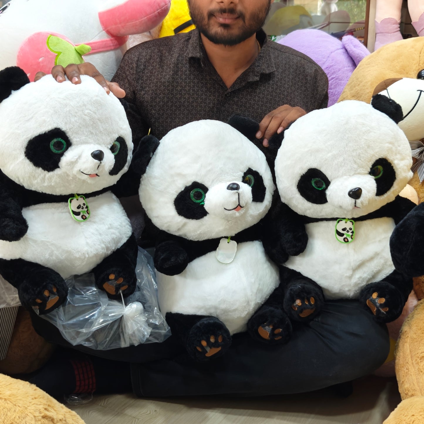 50CM DOLLAR PANDA