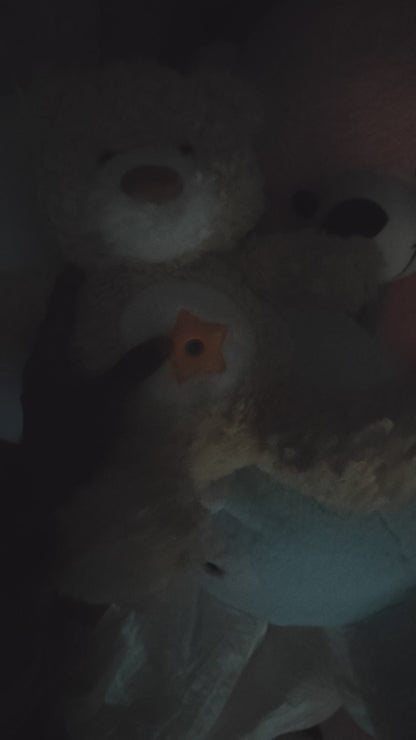 PROJECTOR TEDDY BEAR