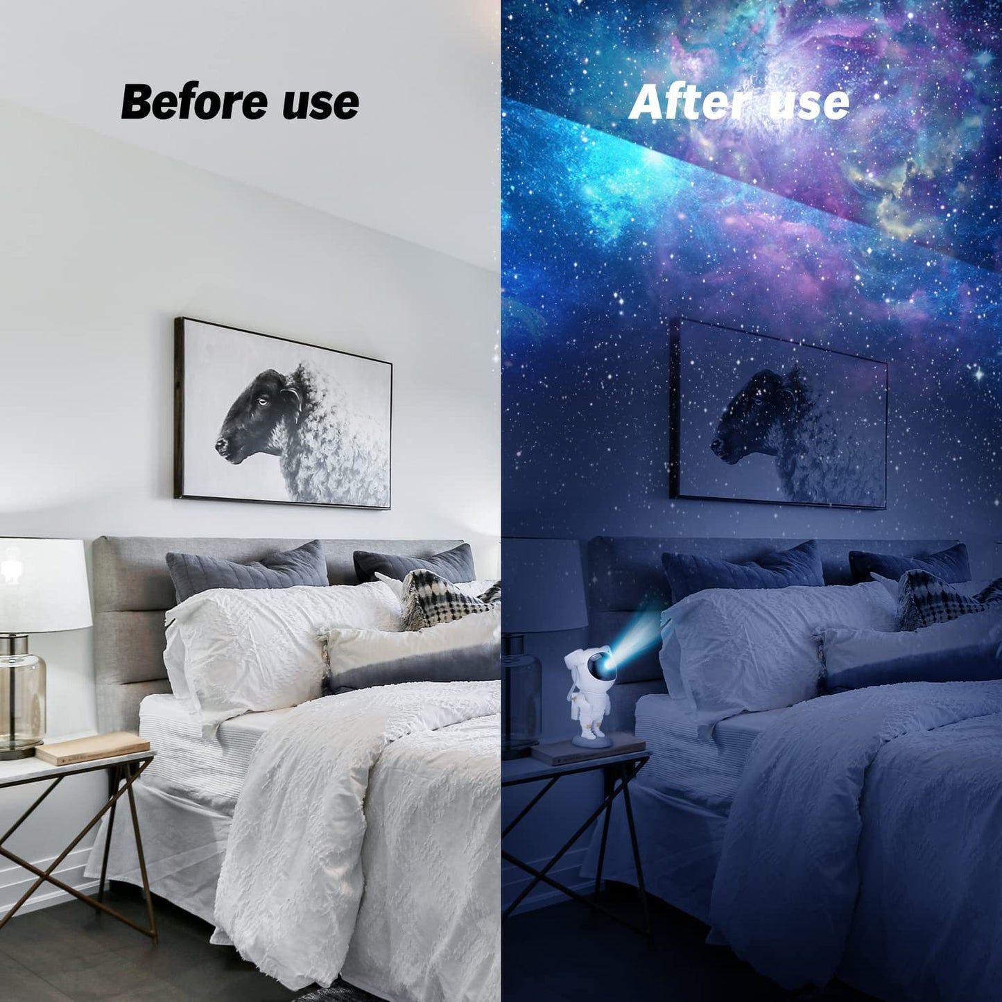 ASTRONAUT PROJECTOR
