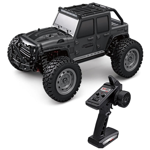 TOP RACING SERIES GANTRY 1/16 SCALE CROSS COUNTRY VEHICLE 4X4 FOUR